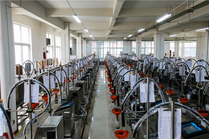 Wuhan Leadjet Science and Technology Development Co.,Ltd linea di produzione in fabbrica